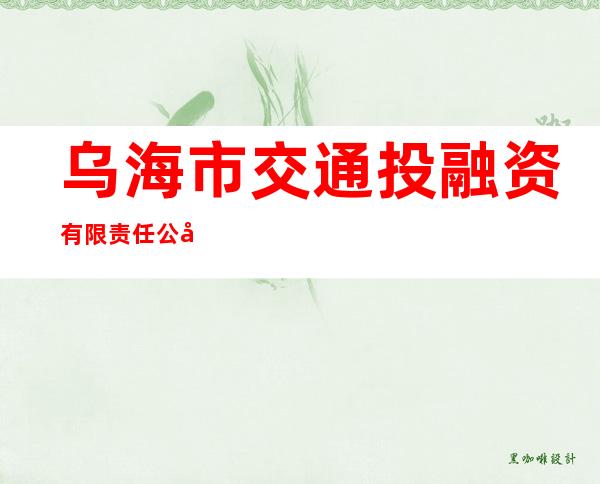 乌海市交通投融资有限责任公司