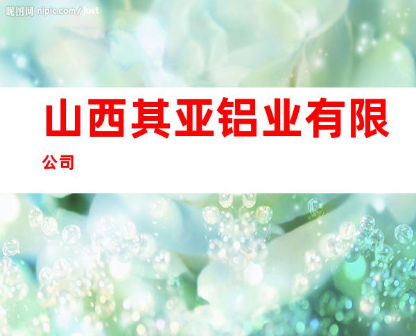 山西其亚铝业有限公司